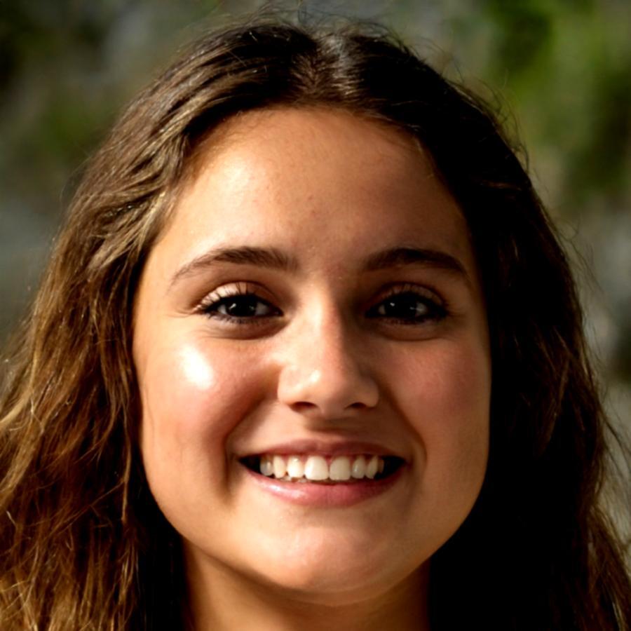 Katrin Blomqvist, Risikoanalystin